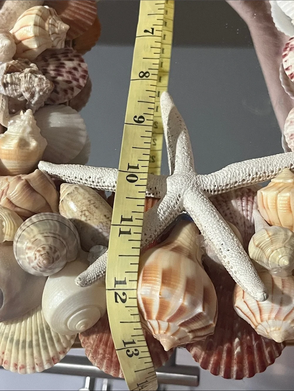 Handmade Coastal Seashell “Charli’ Starfish Wall Mirror - Natural Beige Shells